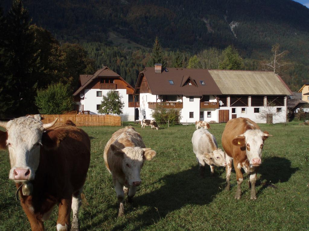 Farm Kosir Villa Kranjska Gora Eksteriør billede