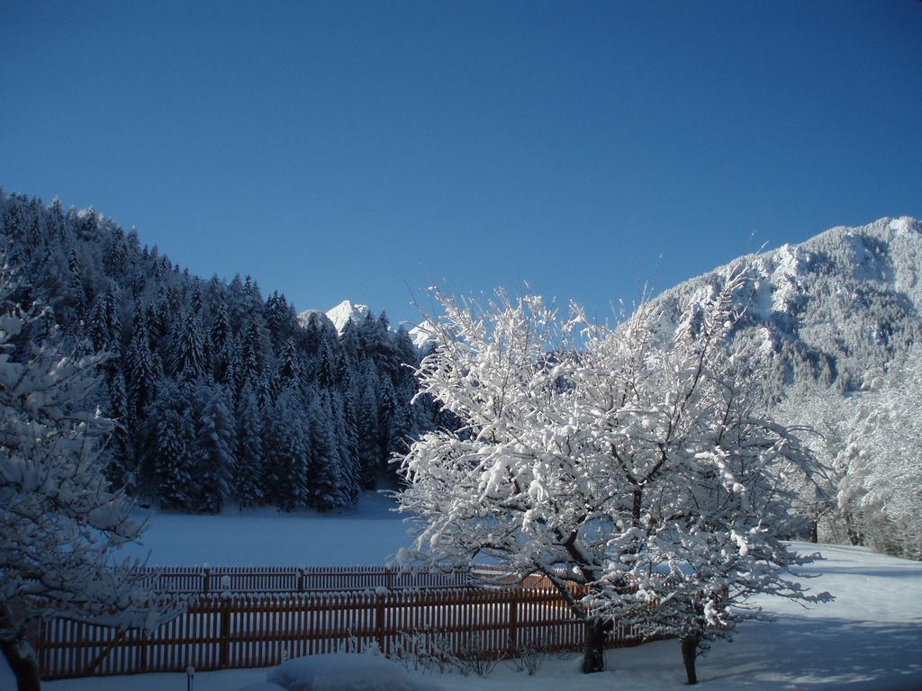 Farm Kosir Villa Kranjska Gora Eksteriør billede