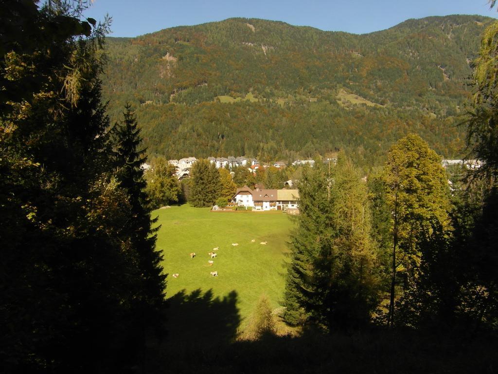 Farm Kosir Villa Kranjska Gora Eksteriør billede