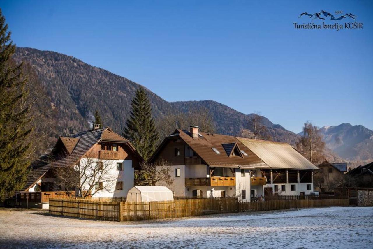Farm Kosir Villa Kranjska Gora Eksteriør billede